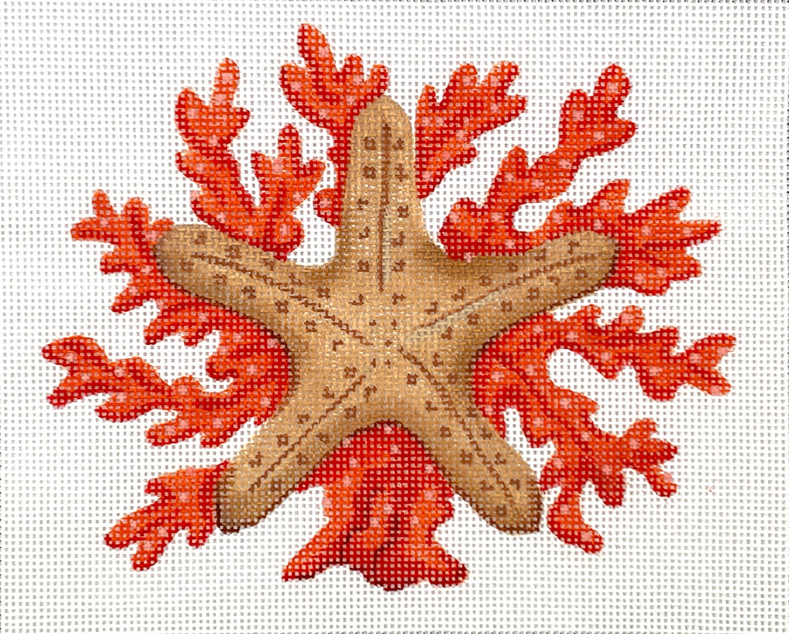PL-515 - Starfish with Coral - Natural Colors