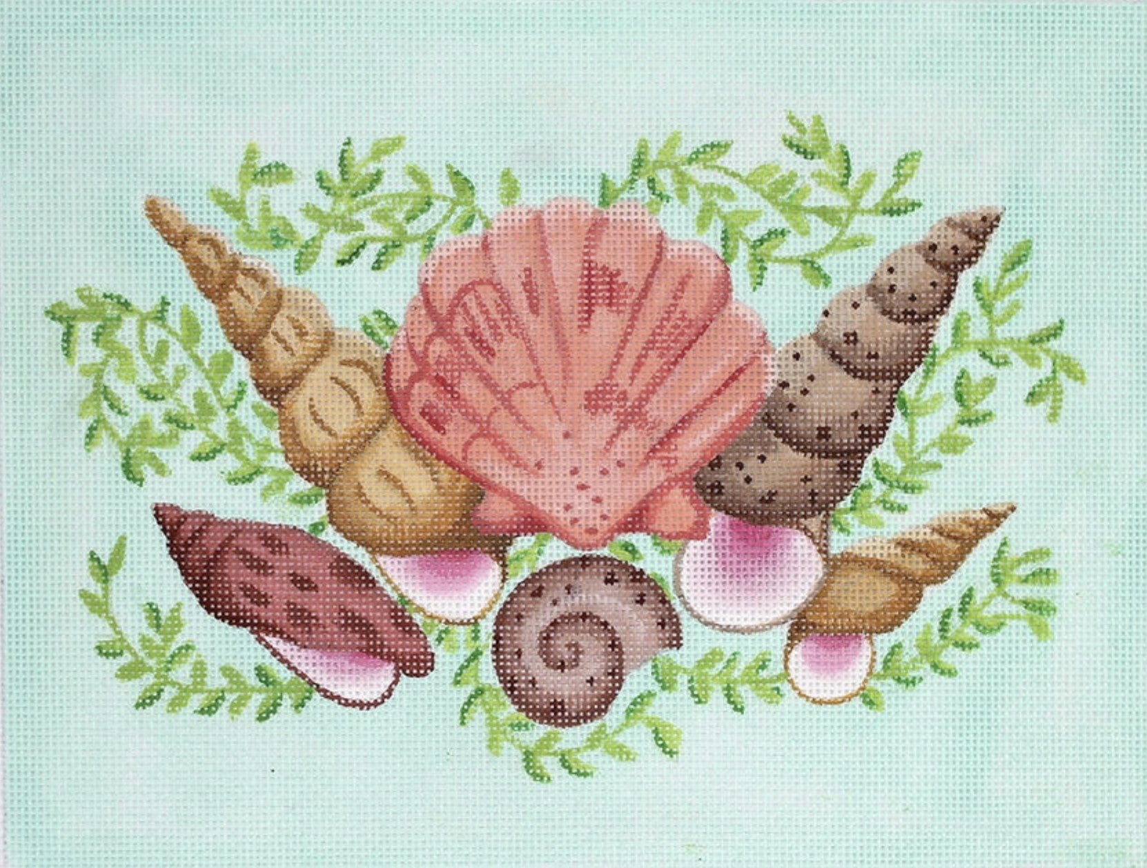 PL-58 - Mixed Shells on Caribbean