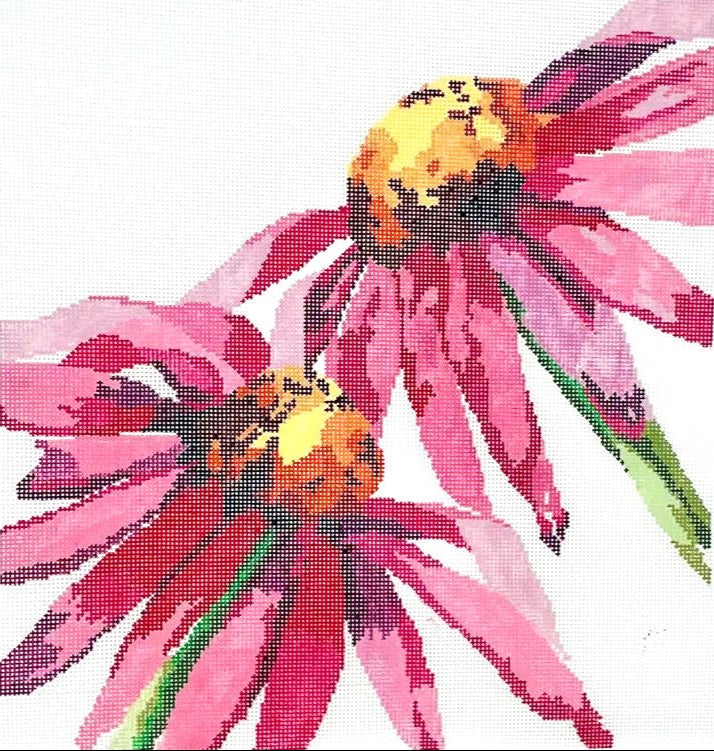 SP03 - Red Cone Flowers