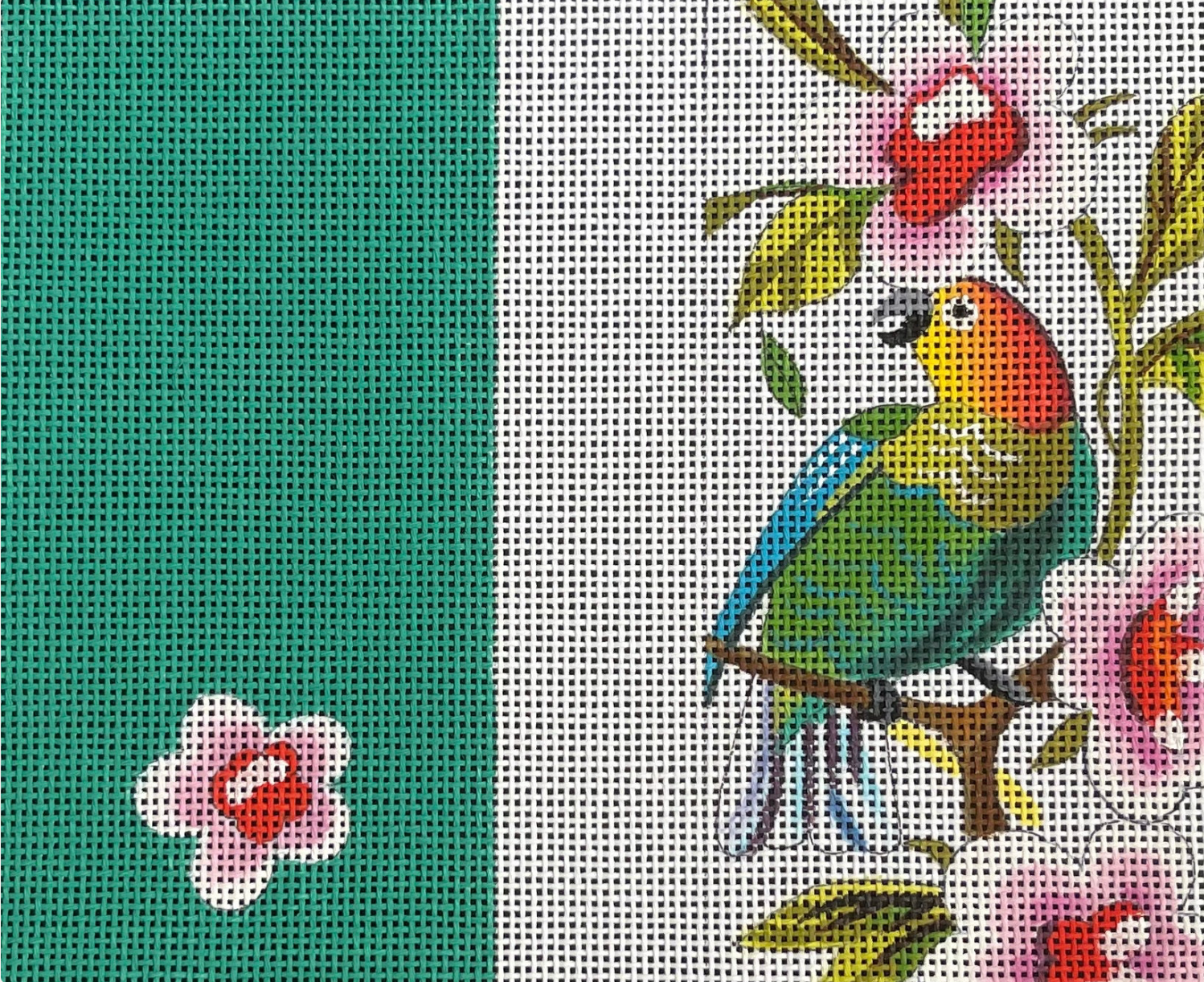 EY215 - Green Parrot with Pink Floral Eyeglass Case