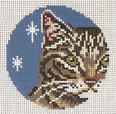 1739-13 - Brown Tabby Cat