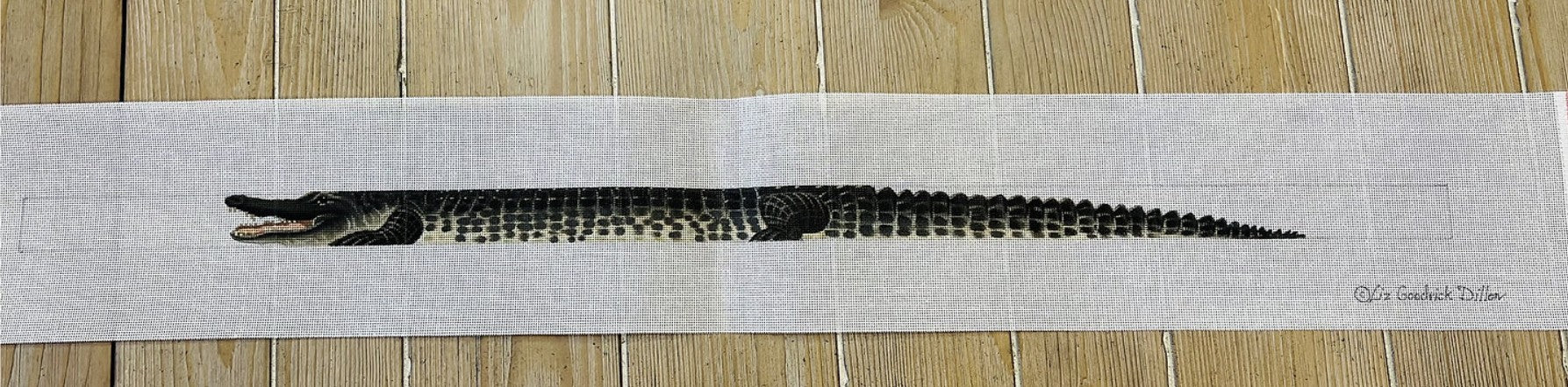 TTB146L - Alligator Belt