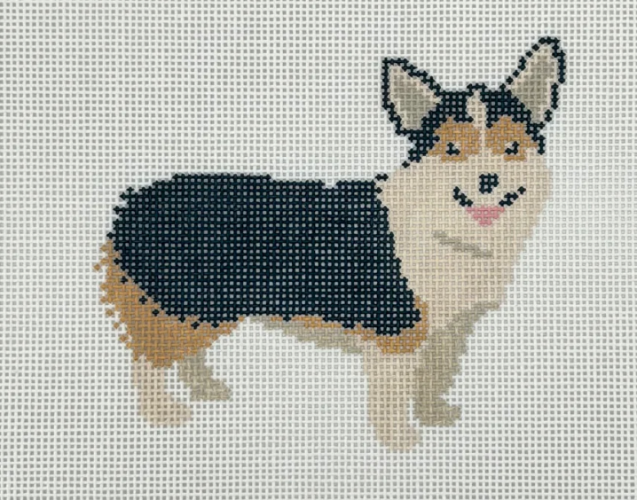 BH - Corgi - Tricolor