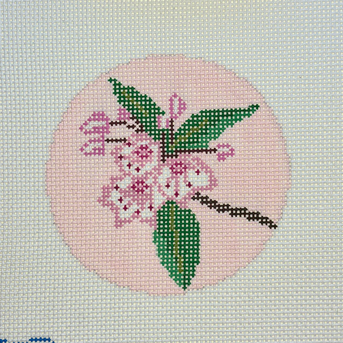 T11 - Mountain Laurel