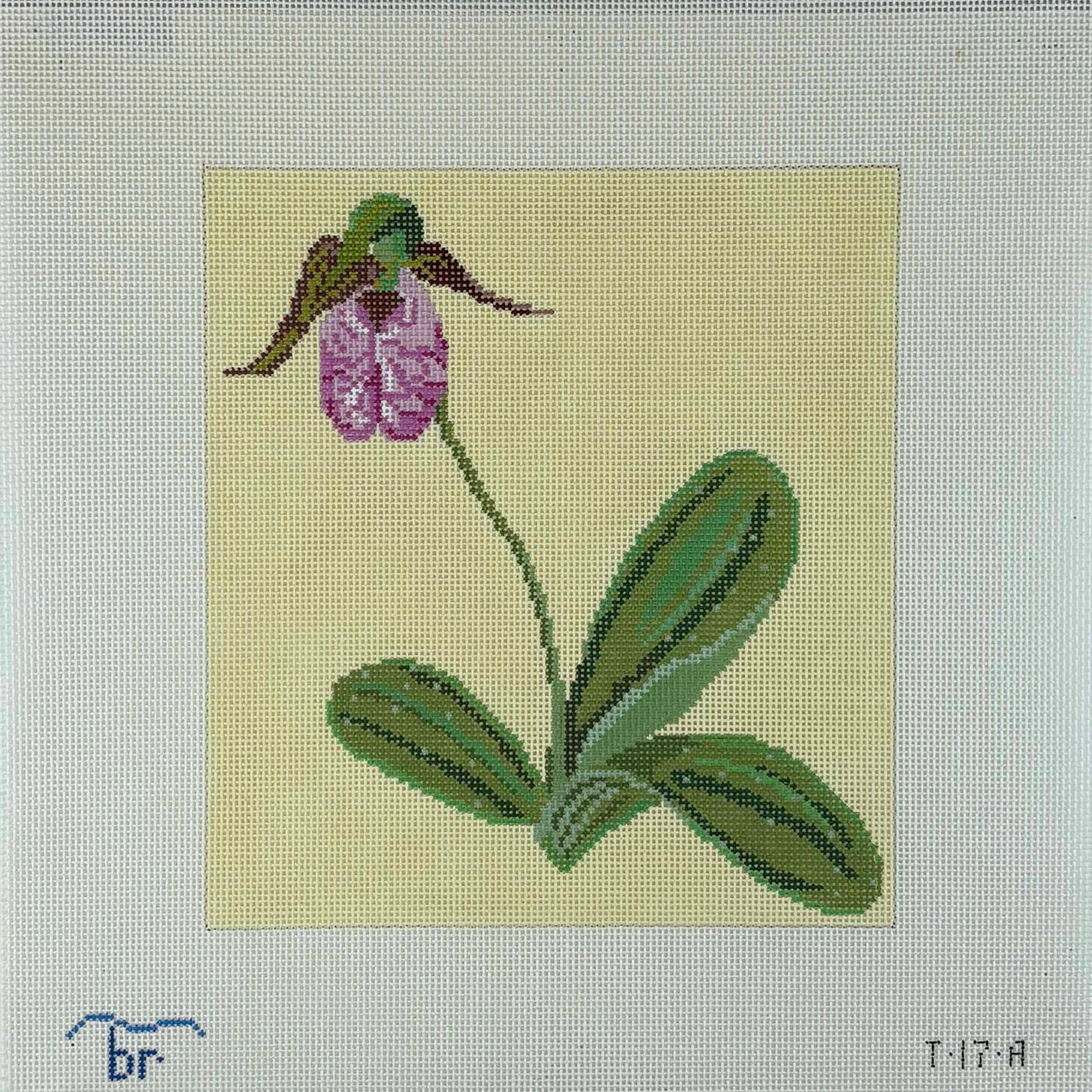 T17A - Pink Lady's Slipper