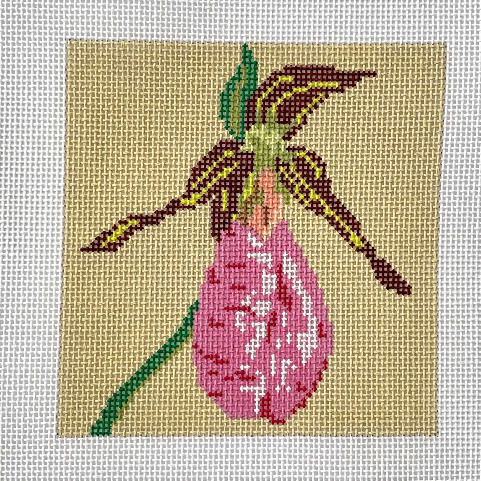 T17B - Pink Lady's Slipper