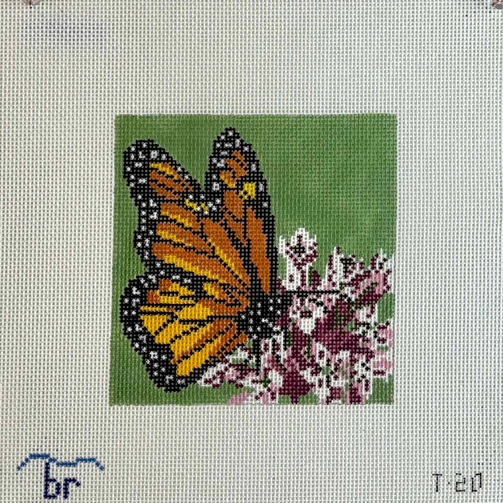 T20 - Monarch on Milkweed