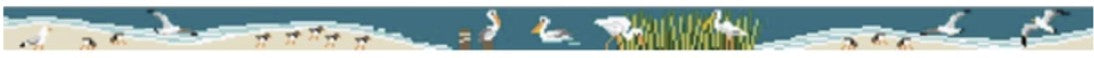 TSS-105 - Shore Birds Belt