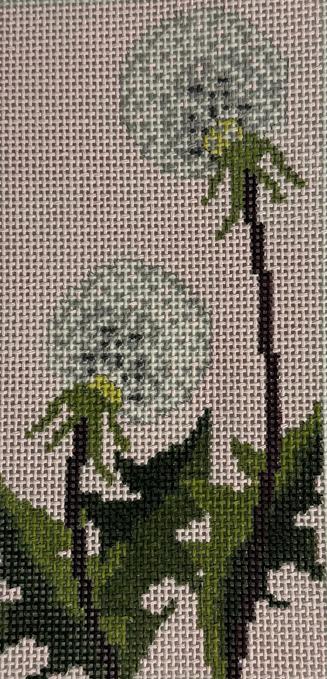 TSS-156 - Dandy Poofs