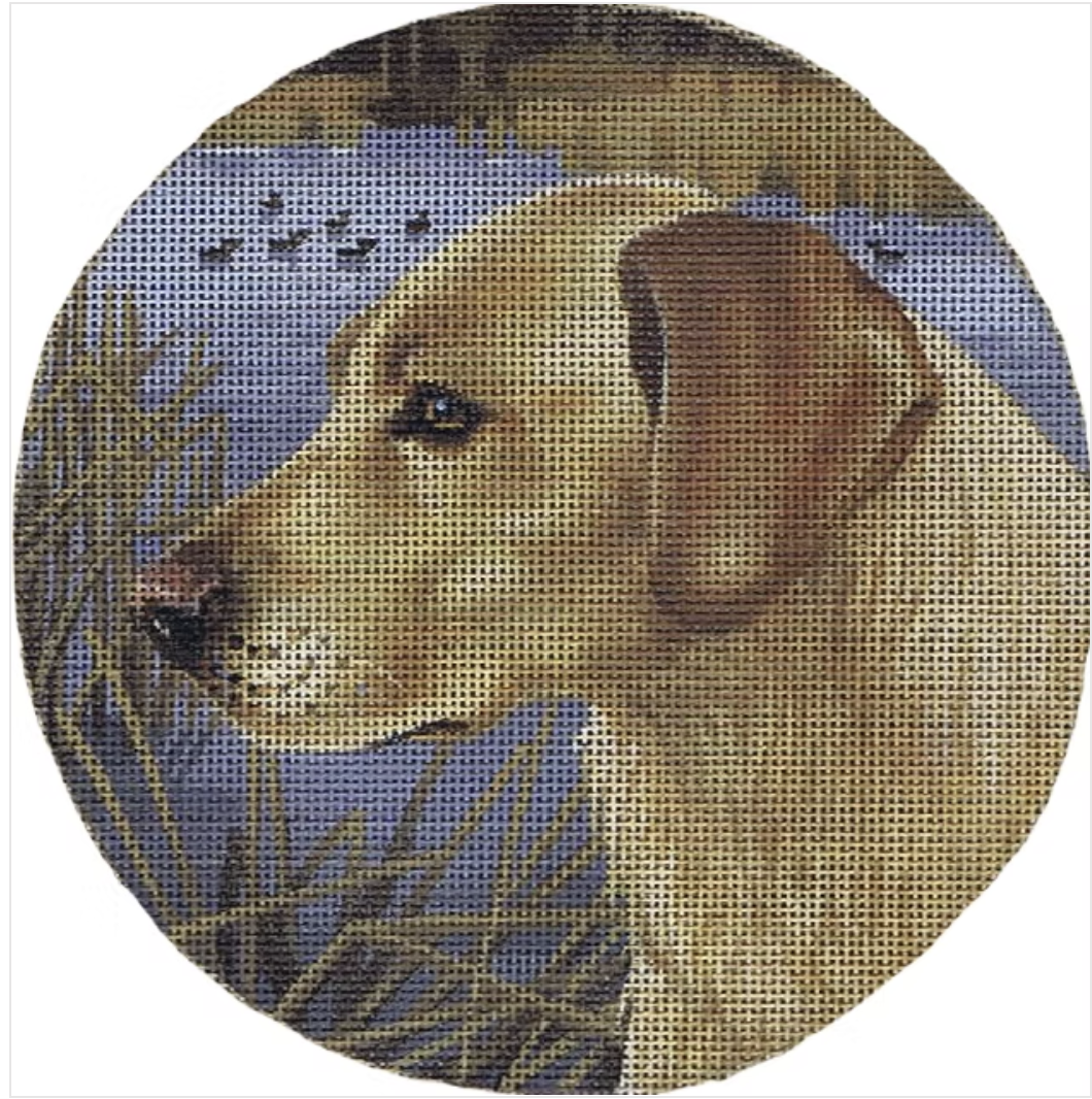 TTASP285 - Yellow Lab and Ducks