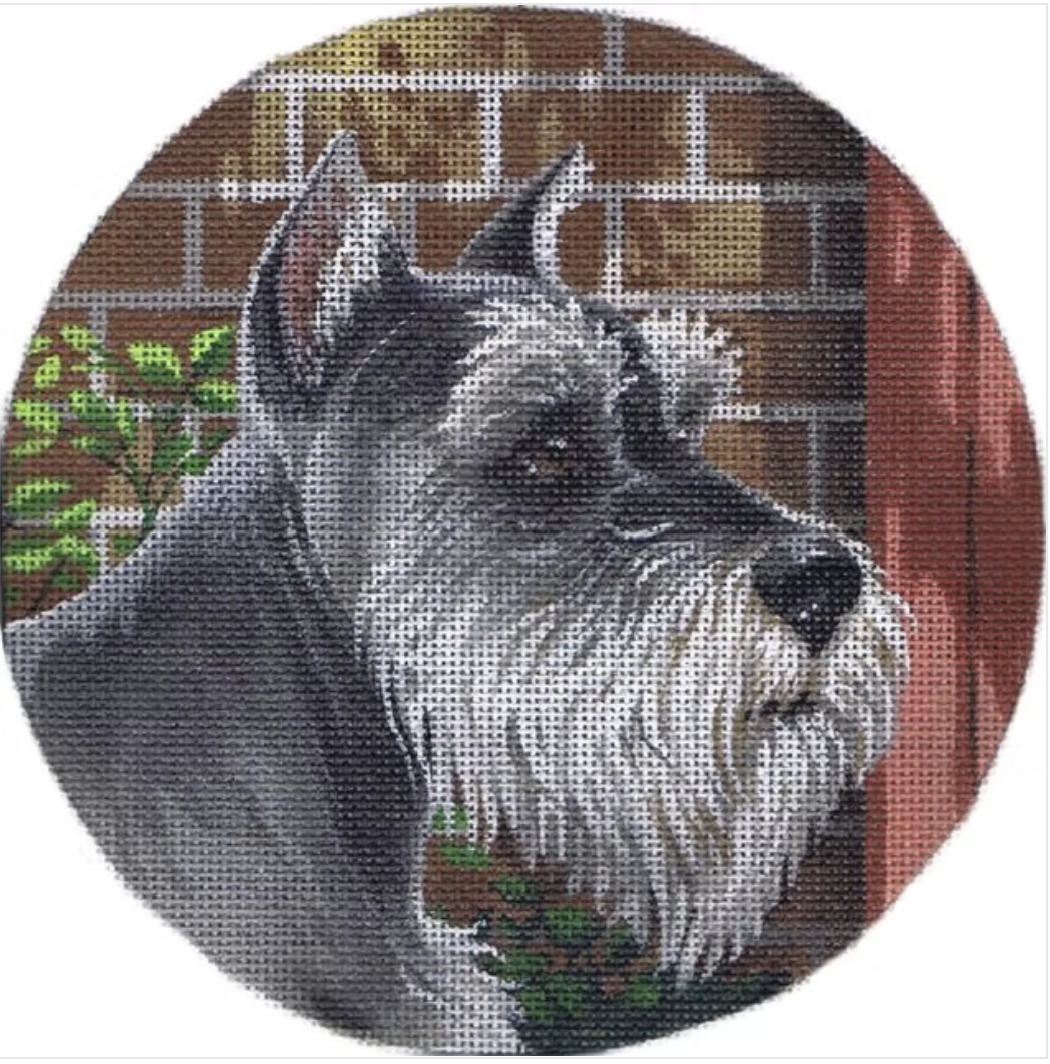 TTASP301 - Miniature Schnauzer
