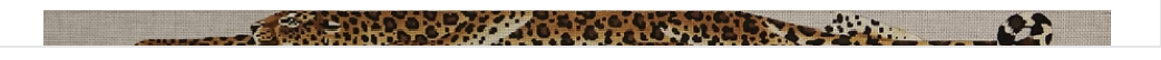 TTB125 - Leopard Belt