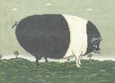 WK2030 - Black and White Pig