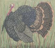 WK2032 - Vermont Turkey