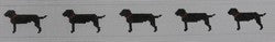 KK-B110B - Black Labs Belt