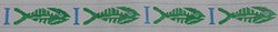 KK-B501 - Bonefish - Green and Blue Belt