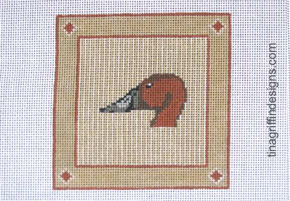 CSTR-DH-002 - Canvasback