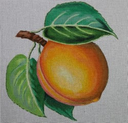 WS603F - Large Apricot