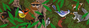 HC-F395 - Forest Flyer