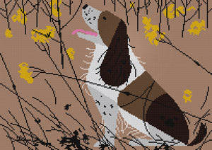 HC-S359 - Springer Spaniel