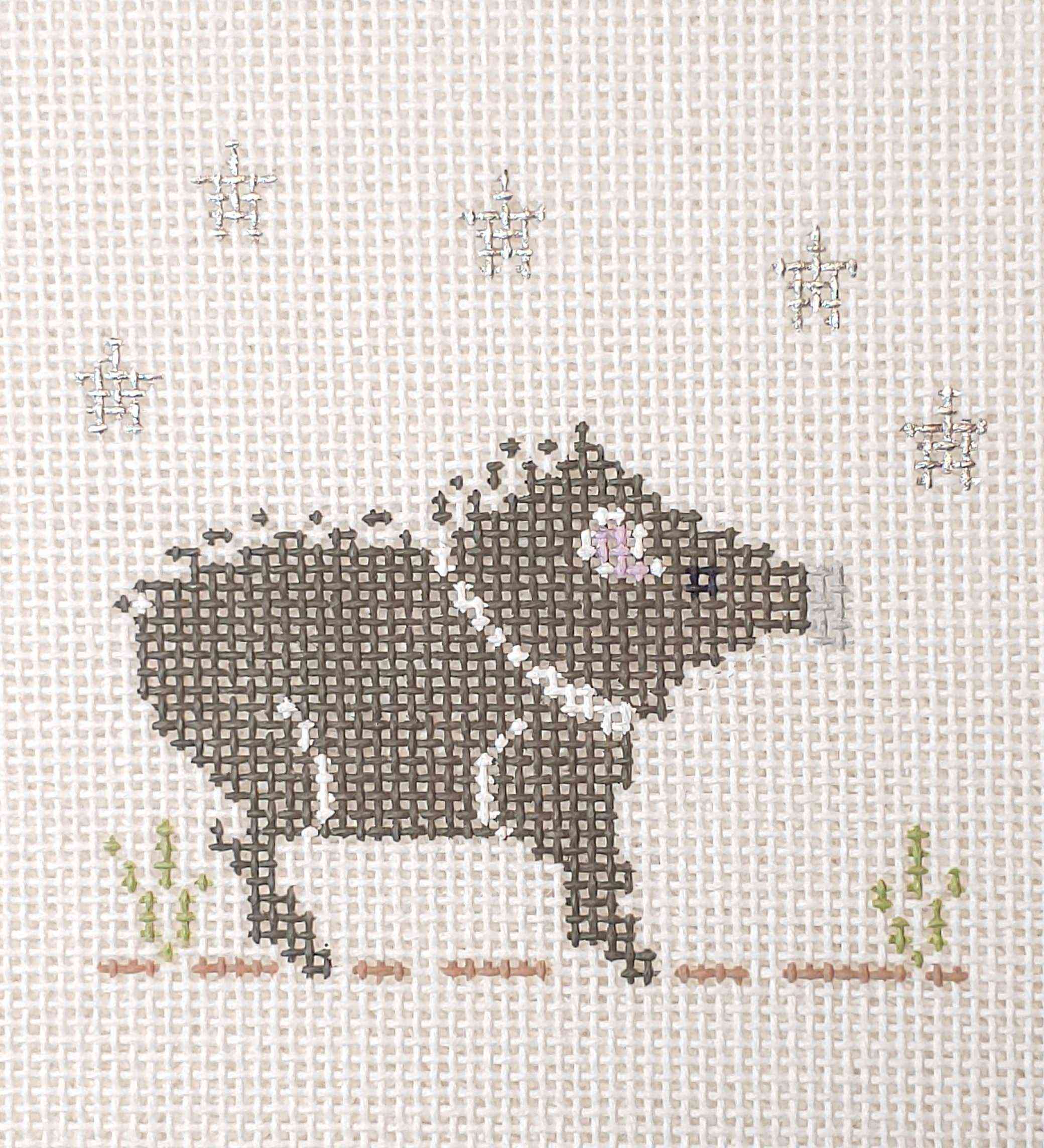 PT345JV - Western: Javalina