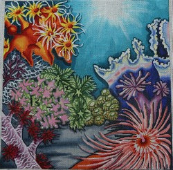 R145 - Coral Reef
