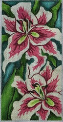 R423 - Orchids