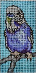 R427 - Blue and White Parrot