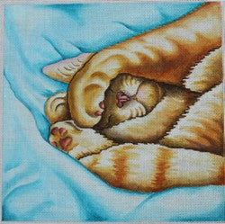 R433 - Sleeping Kitty