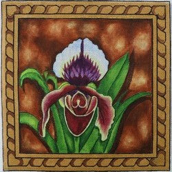 R585 - Purple and White Iris