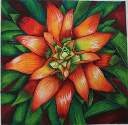 R589 - Bromeliad