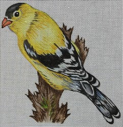 R831 - Yellow and Black Bird