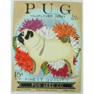 TC-SF309 - Pug Seed Company