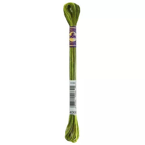 DMC Color Variations Mouline Floss