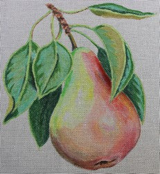 WS603A - Large Pear