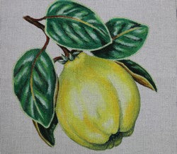 WS603H - Large Quince