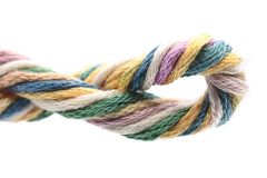 Waterlilies (000 - 141)