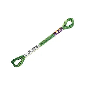 DMC Color Variations Mouline Floss