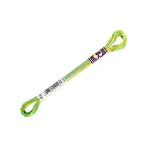 DMC Color Variations Mouline Floss
