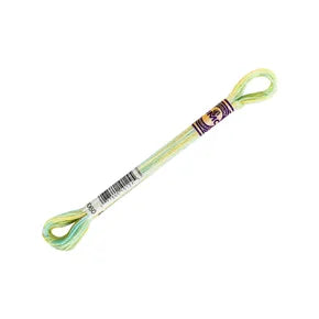 DMC Color Variations Mouline Floss