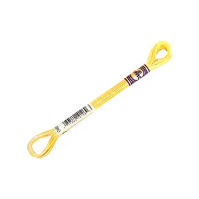 DMC Color Variations Mouline Floss