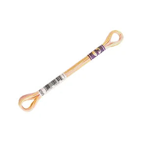 DMC Color Variations Mouline Floss