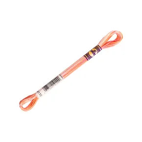 DMC Color Variations Mouline Floss