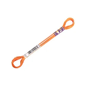 DMC Color Variations Mouline Floss