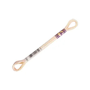 DMC Color Variations Mouline Floss