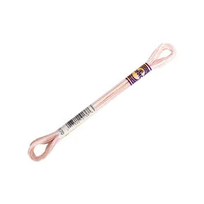 DMC Color Variations Mouline Floss