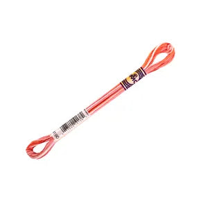 DMC Color Variations Mouline Floss