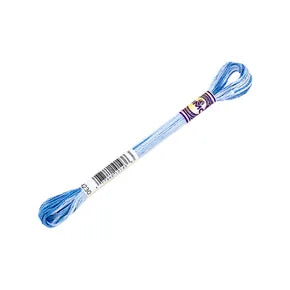 DMC Color Variations Mouline Floss
