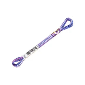 DMC Color Variations Mouline Floss