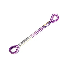 DMC Color Variations Mouline Floss